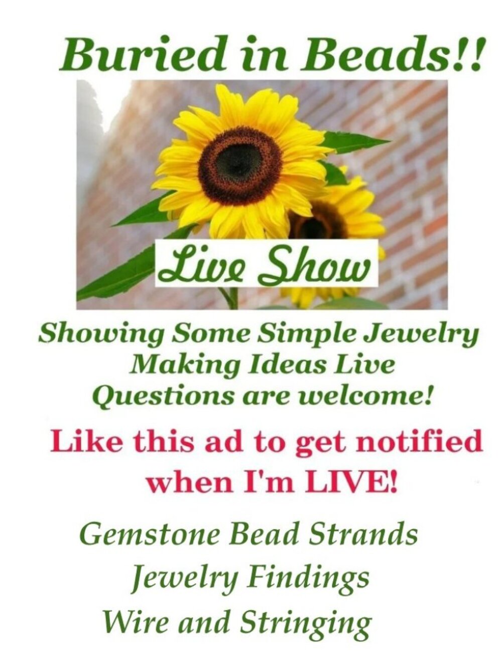 Live Show Notice! Like this Ad to get notified when I'm LIVE! Jewelry making